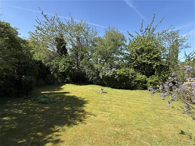 Picture 30